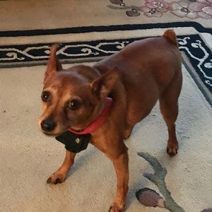 Meet your Posher, Gretchen